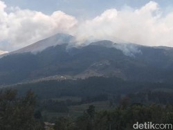 Kebakaran Gunung Merbabu Belum Padam, Apa yang Jadi Kendalanya?