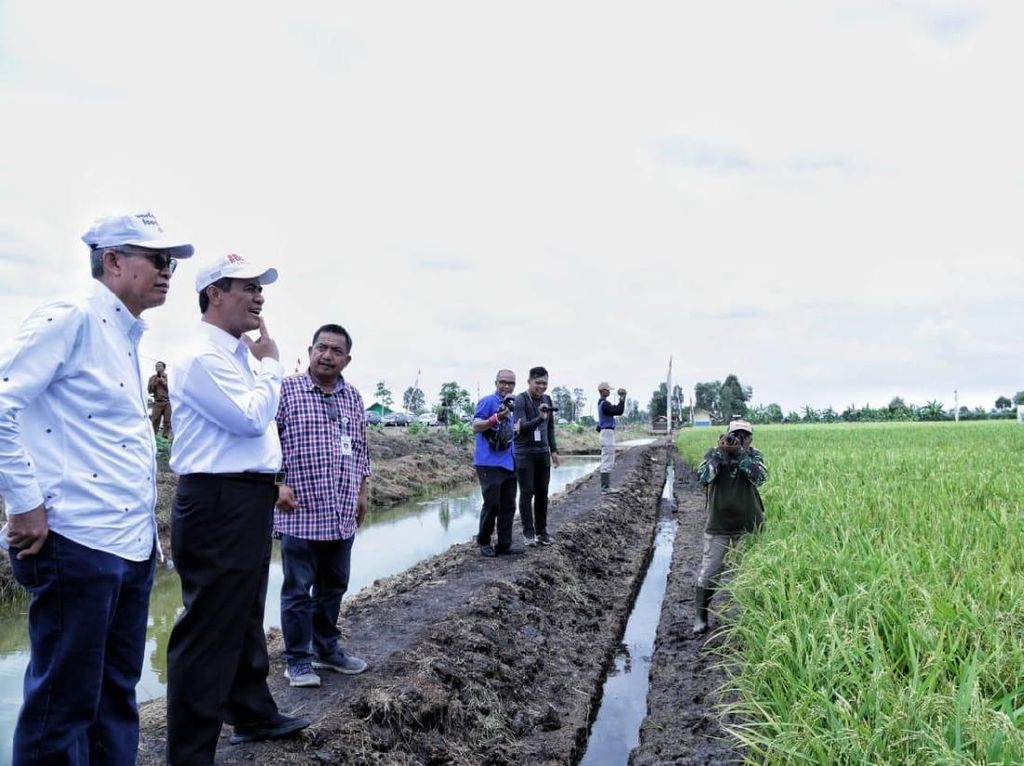 Mentan Sebar 22 Eskavator Senilai Rp 60 M ke Sumsel Mentan Sebar 22 Eskavator Senilai Rp 60 M ke Sumsel