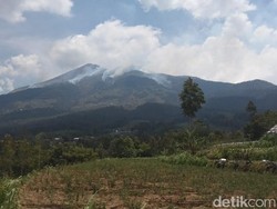Kebakaran di Gunung Merbabu Meluas hingga Kawasan Boyolali