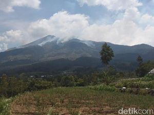 Kebakaran di Gunung Merbabu Meluas hingga Kawasan Boyolali Kebakaran di Gunung Merbabu Meluas hingga Kawasan Boyolali