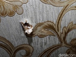 Labfor Periksa Peluru Nyasar di Ruang Anggota F-PD DPR