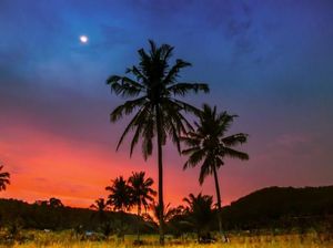 Yuk, Intip Cantiknya Pantai Sawarna dari Banten Selatan