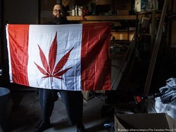 Redam Kejahatan Terorganisir, Kanada Legalisasi Konsumsi Ganja