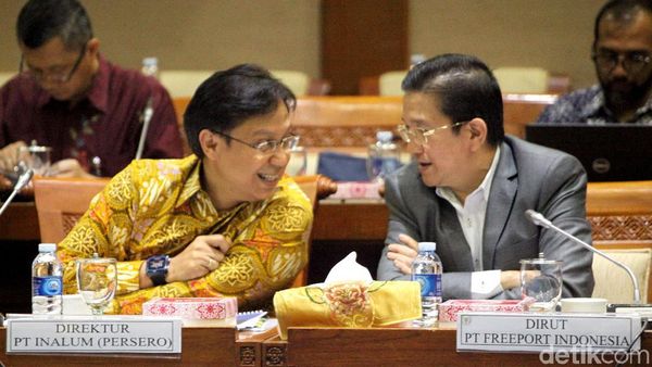 Saat DPR Gelar Rapat Soal Akuisisi Freeport dengan ESDM