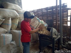 Salut, Pemuda Lamongan Ini Ubah Bonggol Jagung Jadi Pakan Ternak