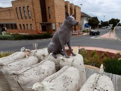 Kota Pedalaman Australia Ini Frustrasi karena Penduduknya Berkurang