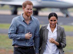 Kucing Peramal Memprediksi Anak Meghan Markle Perempuan