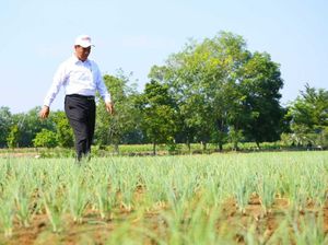 Mentan Sebut Potensi Pengembangan Lahan Rawa Ada 21 Juta Ha Mentan Sebut Potensi Pengembangan Lahan Rawa Ada 21 Juta Ha
