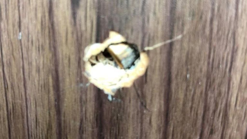 Foto: Peluru Kembali Ditemukan di 2 Ruang Kerja Anggota DPR