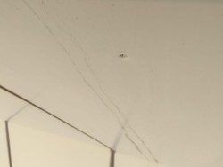 Lagi! Peluru Nyasar Ditemukan di Ruang Anggota F-PD DPR