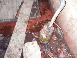 Penampakan Air Merah Darah yang Hampir Mengalir ke Rumah Jokowi