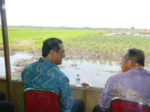 Kelola Rawa Jadi Lahan Pertanian, Mentan Didukung Darmin