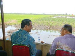 Kelola Rawa Jadi Lahan Pertanian, Mentan Didukung Darmin