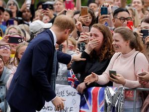 Cara Menyentuh Pangeran Harry Hibur Anak Kecil di Selandia Baru