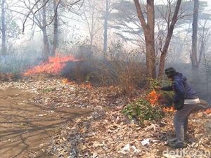 Hutan di Lereng Gunung Bentar Seluas 13 Hektar Terbakar