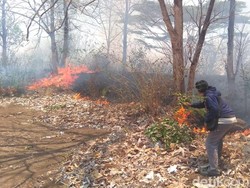 Hutan di Lereng Gunung Bentar Seluas 13 Hektar Terbakar