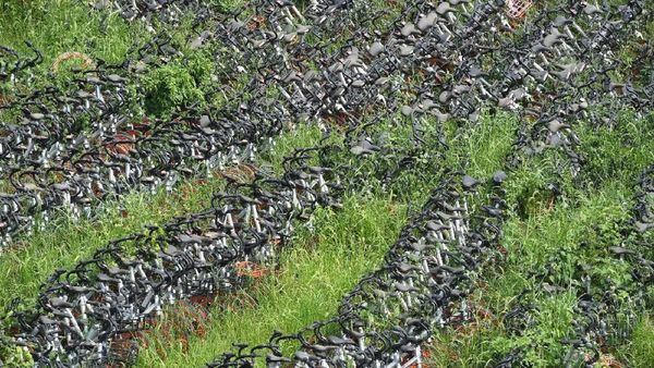 Kuburan Jutaan Sepeda, Masih Bagus Tapi Dibuang