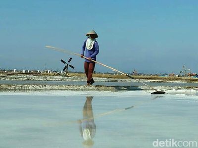 Petani Garam Cirebon Curhat Harga Jual Anjlok