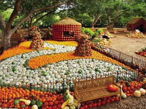 Keren! Ada Desa Peter Pan yang Dibuat dari Susunan 100.000 Labu