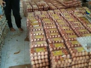 Produksi Berlebih Picu Harga Telur Ayam di Peternak Anjlok