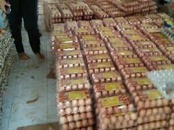 Produksi Berlebih Picu Harga Telur Ayam di Peternak Anjlok