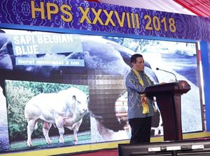 Wujudkan Lumbung Pangan Dunia, RI Fokus Optimalkan Lahan Rawa