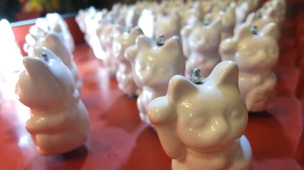 Foto: Meong! Inilah Museum Serba Kucing