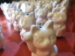 Foto: Meong! Inilah Museum Serba Kucing