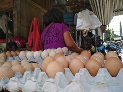 Harga Telur Ayam Naik, Kementan Sebut Stok Cukup