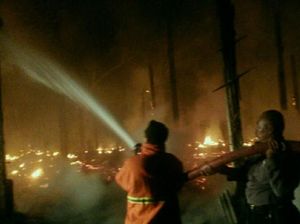 Kandang Ternak di Blitar Ludes Terbakar, Ribuan Ayam Terpanggang