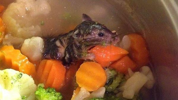 10 Temuan Menjijikkan Dalam Makanan Ini, Dijamin Bikin Nafsu Makan Hilang