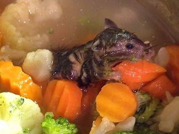 10 Temuan Menjijikkan Dalam Makanan Ini, Dijamin Bikin Nafsu Makan Hilang