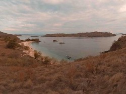 Lindungilah Pantai Pink dengan Cukup Potret dan Melihat