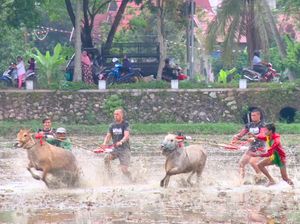 Petualangan Seru My Trip My Adventure di Sumatera Barat
