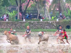 Petualangan Seru My Trip My Adventure di Sumatera Barat