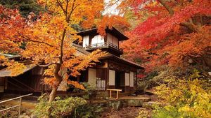 Foto Musim Gugur di Jepang, Jadi Ingin Liburan ke Kanagawa