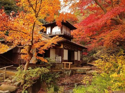 Foto Musim Gugur di Jepang, Jadi Ingin Liburan ke Kanagawa