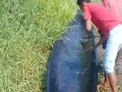 Video: Perahu Kuno Ditemukan di OKI Sumsel