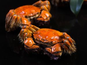 Pencinta Seafood Harus Cicip Kepiting Berbulu dari Shanghai Ini