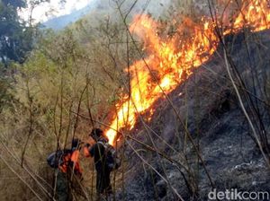 435 Hektar Hutan Arjuno Wilayah Pasuruan Habis Terbakar