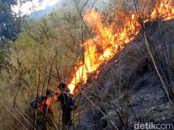 435 Hektar Hutan Arjuno Wilayah Pasuruan Habis Terbakar