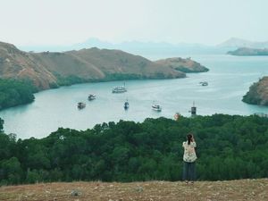 Cara Daftar Online Masuk ke Taman Nasional Komodo