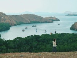 Cara Daftar Online Masuk ke Taman Nasional Komodo