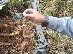 Ditemukan Kondom di Mobil Rini Puspitawati, Milik Siapa?