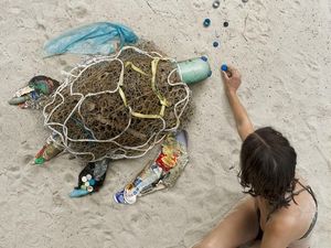 Kreatif Tapi Menohok, Ketika Sampah Disulap Jadi Seni