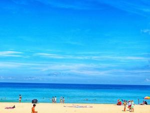 Pantai Phuket Diteror Hewan Mirip Ubur-ubur, Sengatannya Berbahaya Pantai Phuket Diteror Hewan Mirip Ubur-ubur, Sengatannya Berbahaya