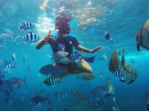 Cuma di Banyuwangi, Snorkelingnya di Rumah Apung