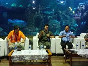 Ada Ubur-Ubur, Pantai Ancol Dipastikan Aman Ada Ubur-Ubur, Pantai Ancol Dipastikan Aman