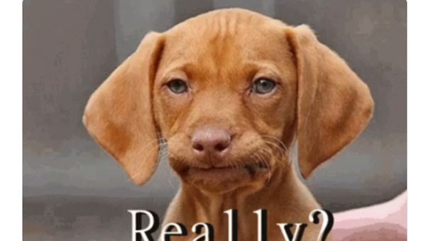 Chelsea vs MU Seru, Ramai Meme-meme Lucu