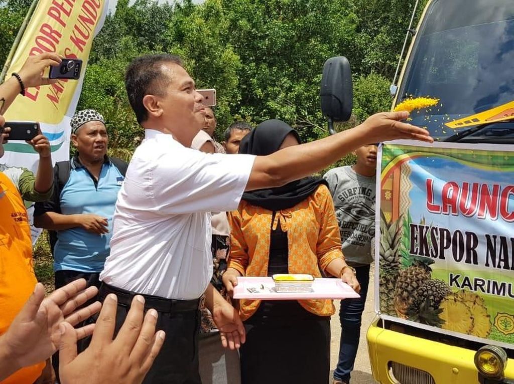 Kementan Lepas Ekspor Perdana Nanas dan Pisang Karimun ke Singapura Kementan Lepas Ekspor Perdana Nanas dan Pisang Karimun ke Singapura